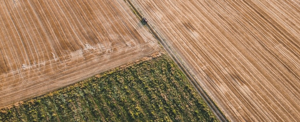 Agricultural fields aerial view